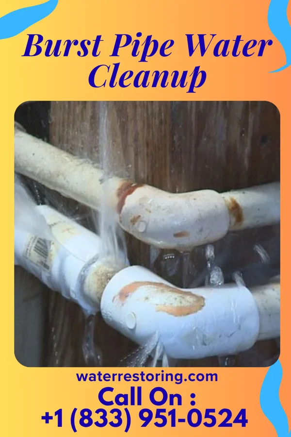 Burst Pipe Water Cleanup in Dresbach, MN