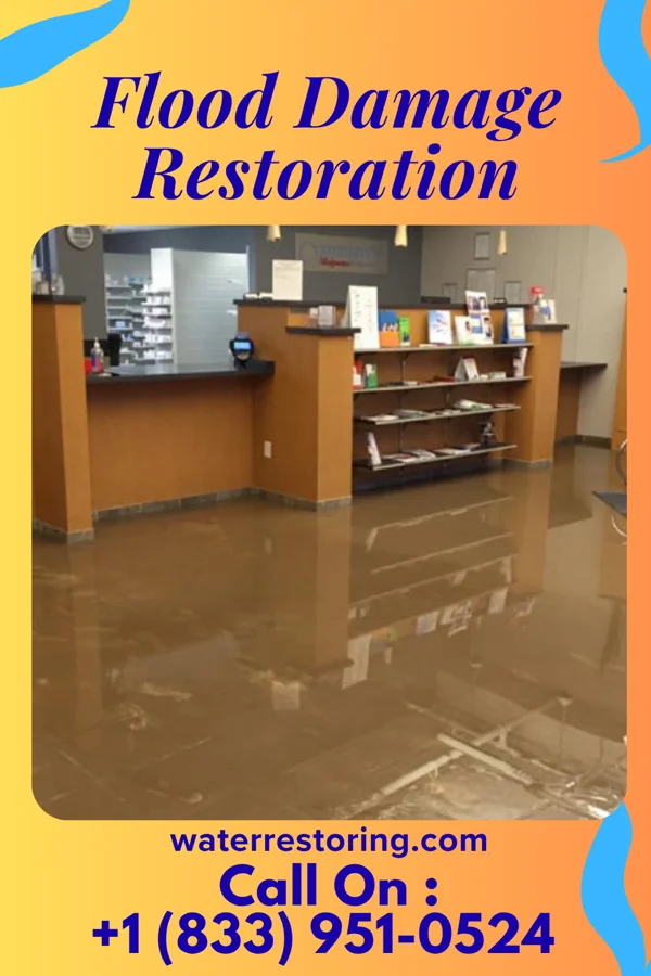 Flood Damage Restoration in Dresbach, MN
