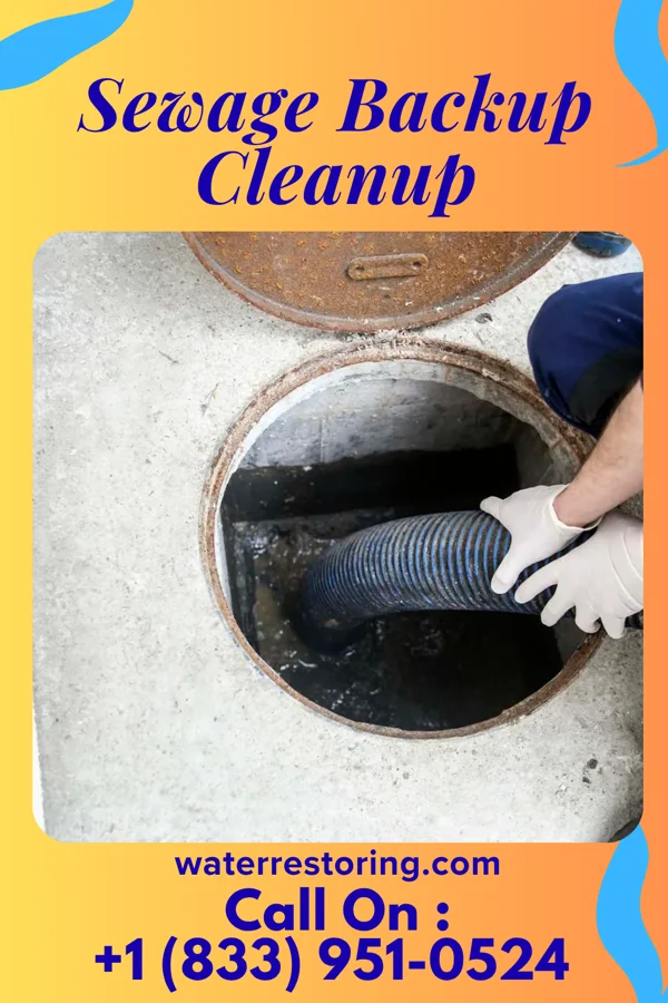 Sewage Backup Cleanup in Dresbach, MN