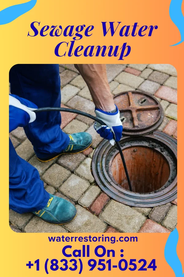 Sewage Water Cleanup in Dresbach, MN